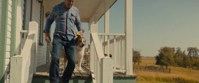 You as creaky as me, Boss Dog? - A Dog's Journey