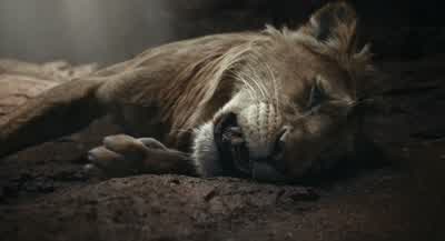 You dare to challenge me? - Mufasa: The Lion King