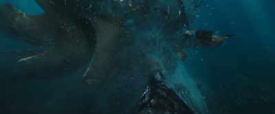 You defeated Steppenwolf
and saved Atlantis. - Aquaman