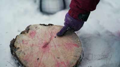 You did it babe, good job! - Life Below Zero: First Alaskans