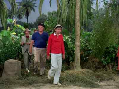YOU DIDN'T BRING US
OUT HERE TO SHOW US THAT? - Gilligan's Island