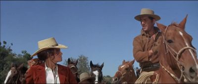 You didn't have to do this - Bandolero!