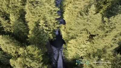 You do know, if I break my leg, - Chasing Waterfalls