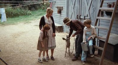 You do understand, if we don't
get this animal - The Waltons