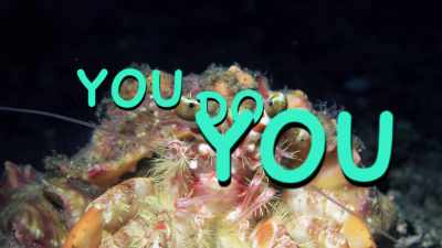 You... do... you! - Absurd Planet