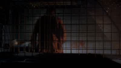 You don't clear. - The Walking Dead