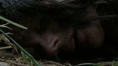 You don't-- you don't get to come back. - The Walking Dead