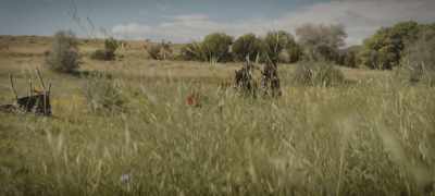 You don't find it curious - Walker Independence
