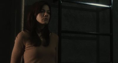 You don't go throwing cats around - Penthouse North