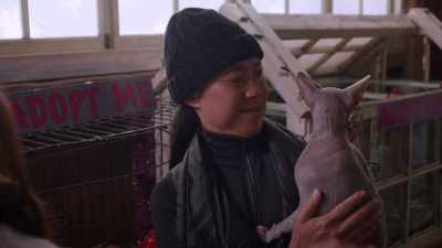 You don't have to get over
anything with Bigglesworth. - The Dog Days of Christmas