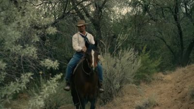 You don't much
like us now, do you? - Two Sinners and a Mule