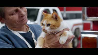 You don't even notice it - Cat Daddies