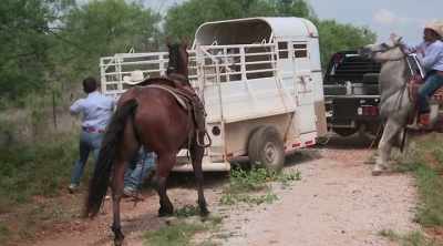You don't really think like,
"This is how I die." It's after. - How to Be a Cowboy