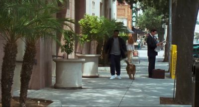 You don't say How come l can understand you talkin' - Doctor Dolittle