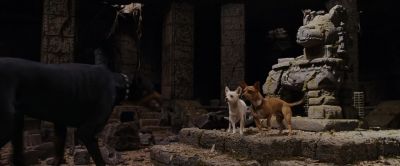 You don't scare me anymore - Beverly Hills Chihuahua