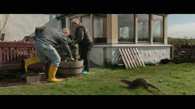 You don't see Jade doing that. - Billy & Molly: An Otter Love Story