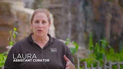 You don't see them
move around too much, - Secrets of the Zoo