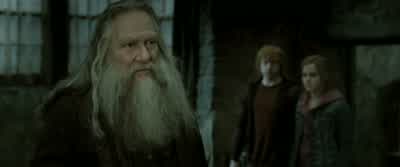 You don't strike me as a fool,Harry Potter. - Harry Potter and the Deathly Hallows: Part 2