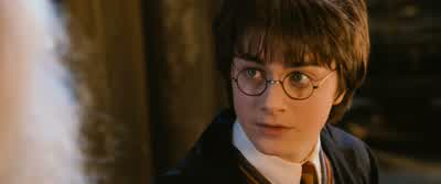 - You don't think it was me, professor? - Harry Potter and the Chamber of Secrets