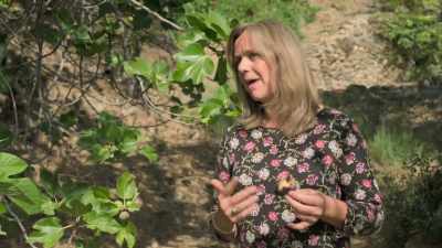 You dry your tomatoes,
you dry your peppers - Write Around the World with Richard E Grant