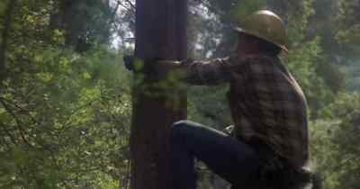 You dumb bastard!
You let him get away! - The Stunt Man