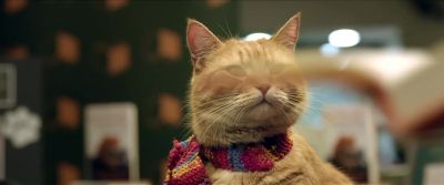 You enjoy that Felt like I lived every moment - A Street Cat Named Bob