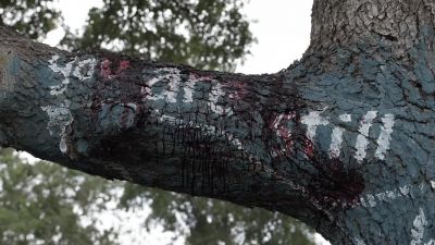 You ever get the feeling - Fear the Walking Dead