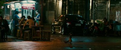 You ever see monkey go to jail - The Hangover Part II