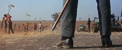 You eyeballing there, Society? - Cool Hand Luke