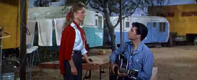You fascinate me - Roustabout