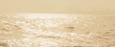You feel calm - Hotel Mumbai
