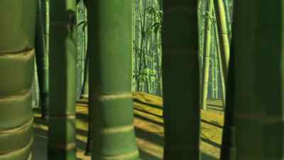 You feel that?
Hmm? Do you see that? - Kung Fu Panda: Legends of Awesomeness