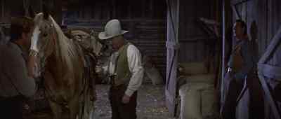 You fell in love with her the first night
. - Tribute to a Bad Man