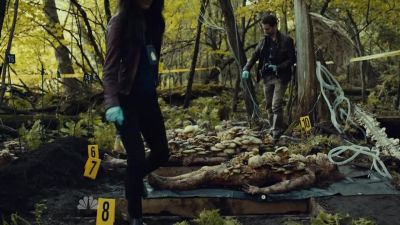 You find any shitakes? - Hannibal