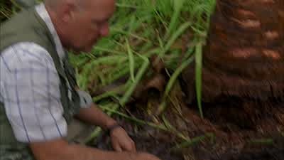 You find something? - Lost