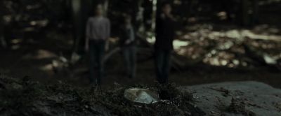 You first. - Harry Potter and the Deathly Hallows: Part 1