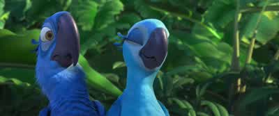 Nowyou flap your right wingyou flap your left wing and together you flyBut this doesn't seem aerodynamically possibleYou think too muchFlying is not what you think up here it's what you feel in hereAnd when you feel the rhythm of your heart it's like - Rio