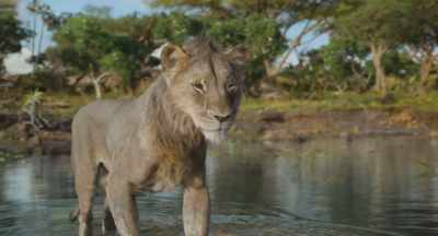 You found it, brother.
You always do. - Mufasa: The Lion King