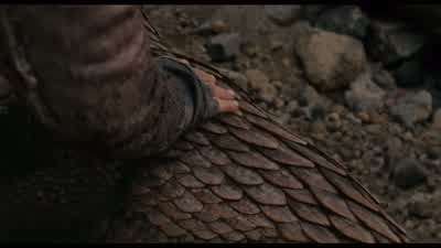 POACHER: You found our kill. - Noah