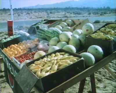 You frigging fruit stand. - Grand Theft Auto
