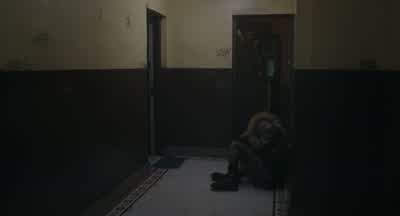 You fuck! - Caught Stealing