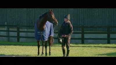 You get a horse with that
ability, with a God given talent, - Horsepower