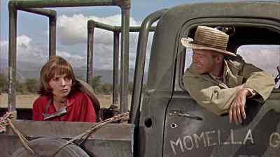 You get enough room to move around? - Hatari!