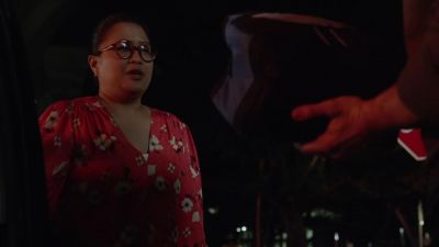 You get it? - Hawaii Five-0