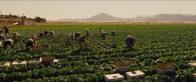 You get paid by the hour - McFarland, USA