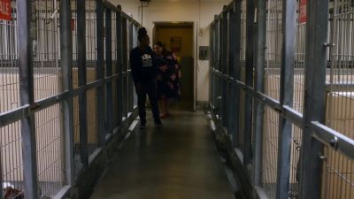 You get used to the noise. - This Is Us