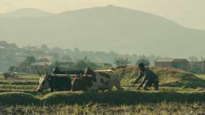 "You go away. You learn. - Roadrunner: A Film About Anthony Bourdain