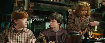 You go first, Ron, so that Harrycan see how it's done. - Harry Potter and the Chamber of Secrets
