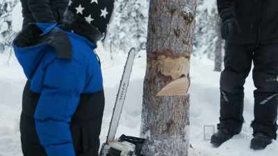 You go in the back and,
like, use a chainsaw, - Life Below Zero: First Alaskans