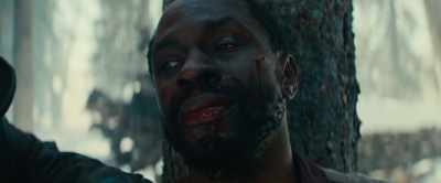 You going to Montana? - The Thicket